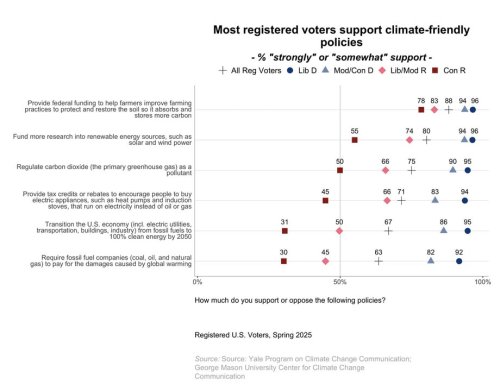 Carousel post from Sustainable Newton.
