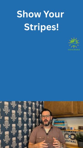 Video post from Sustainable Newton.