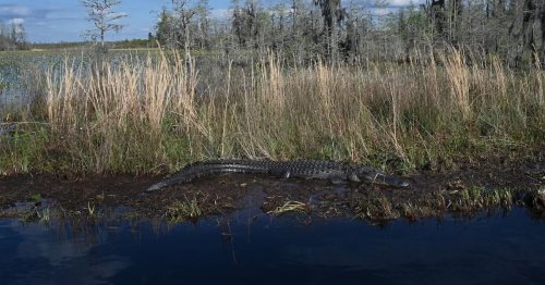 Photo post from Sustainable Newton.