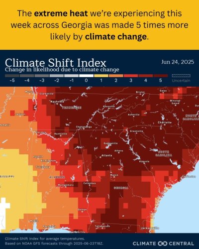 Photo post from Sustainable Newton.
