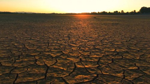 Video post from Sustainable Newton.