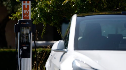 Photo post from Sustainable Newton.