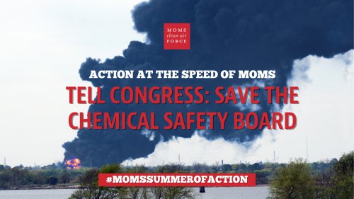 Photo post from Sustainable Newton.