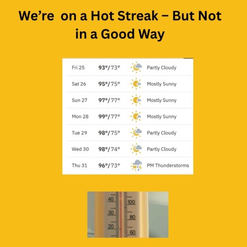 Video post from Sustainable Newton.