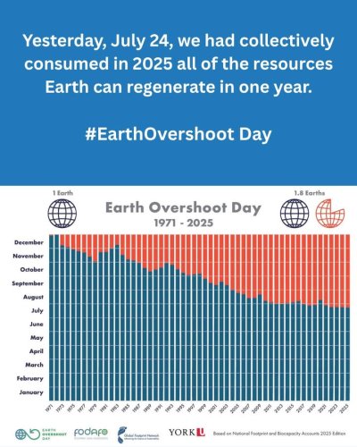 Carousel post from Sustainable Newton.