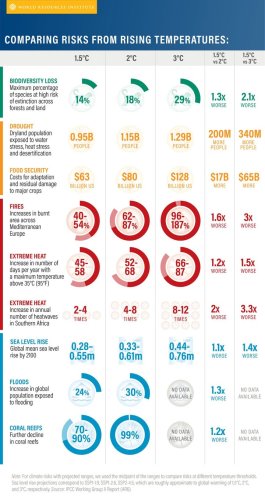 Photo post from Sustainable Newton.