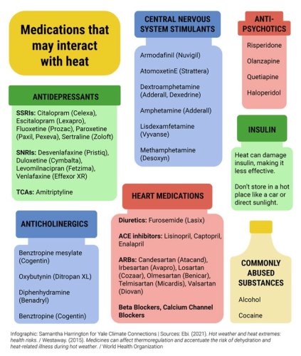 Photo post from Sustainable Newton.