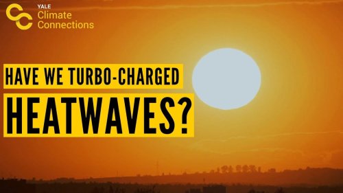 Video post from Sustainable Newton.