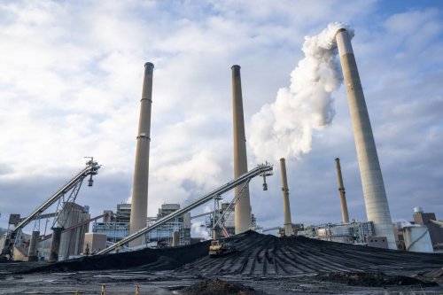 Photo post from Sustainable Newton.