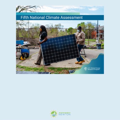 Video post from Sustainable Newton.