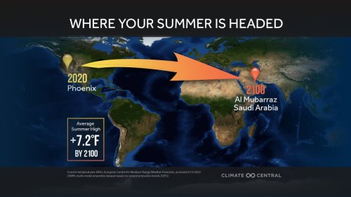 Photo post from Sustainable Newton.