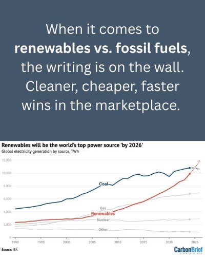 Photo post from Sustainable Newton.