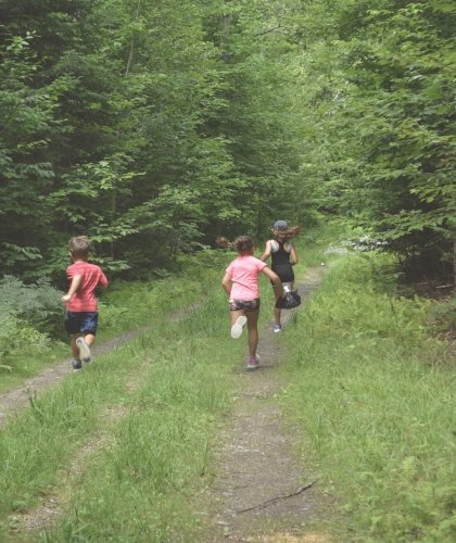 Photo post from Sustainable Newton.