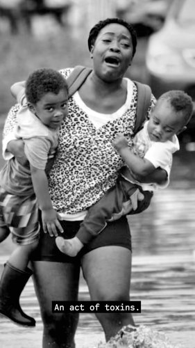 Video post from Sustainable Newton.