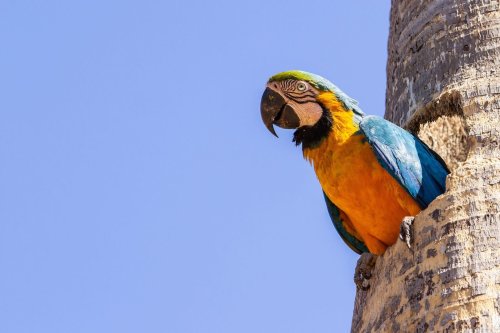 Photo post from Sustainable Newton.