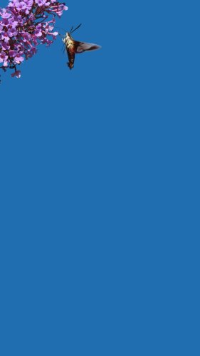 Video post from Sustainable Newton.