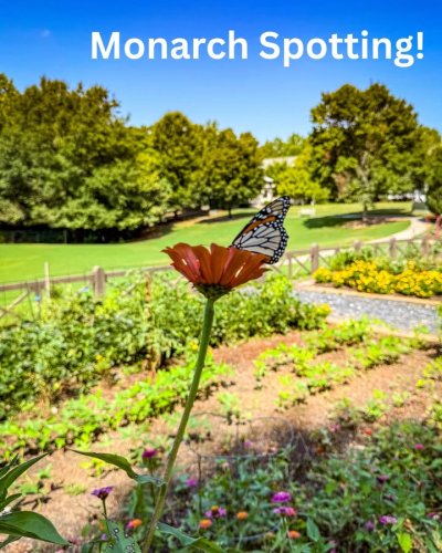 Photo post from Sustainable Newton.