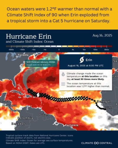 Carousel post from Sustainable Newton.