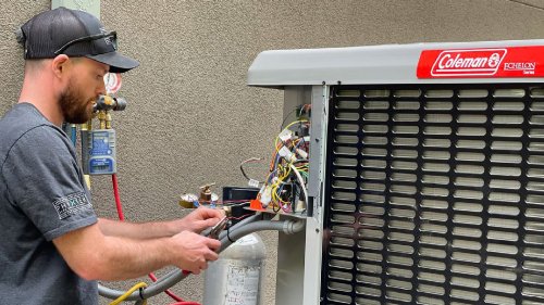 Photo post from Sustainable Newton.