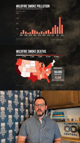 Video post from Sustainable Newton.