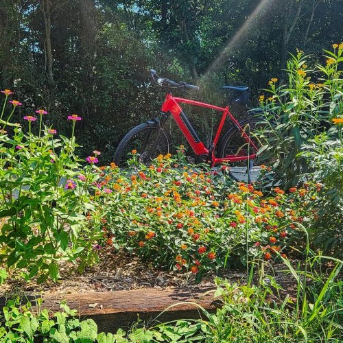 Photo post from Sustainable Newton.