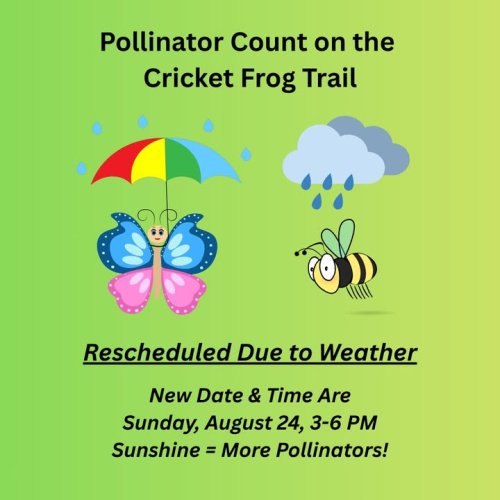 Photo post from Sustainable Newton.