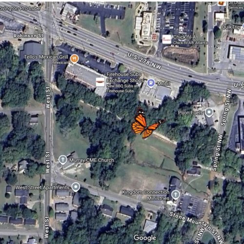 Photo post from Sustainable Newton.