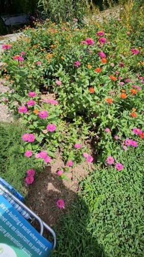 Video post from Sustainable Newton.