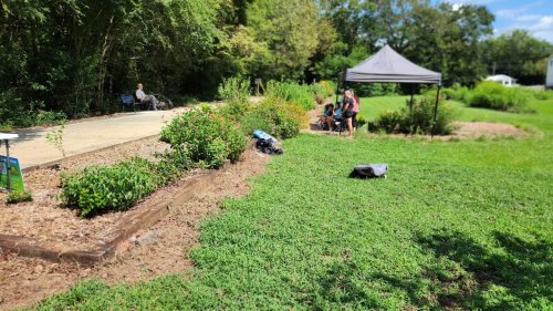 Carousel post from Sustainable Newton.