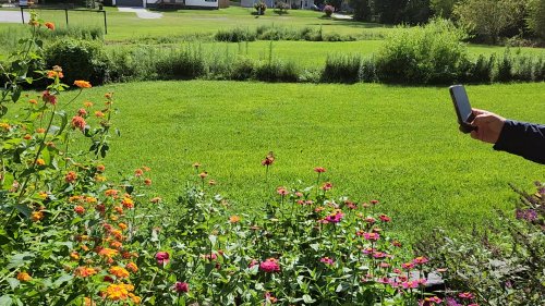 Video post from Sustainable Newton.