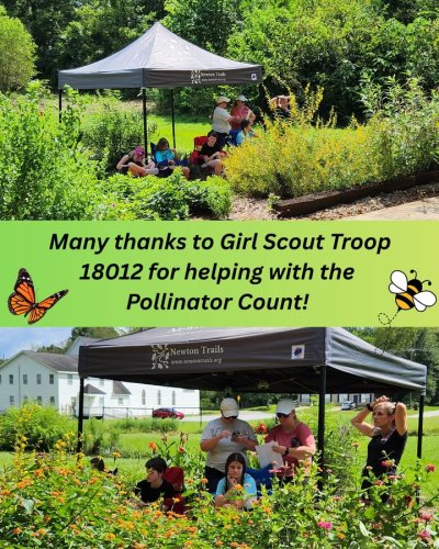 Photo post from Sustainable Newton.