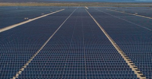 Photo post from Sustainable Newton.