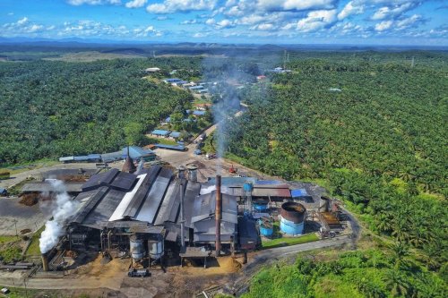 Photo post from Sustainable Newton.