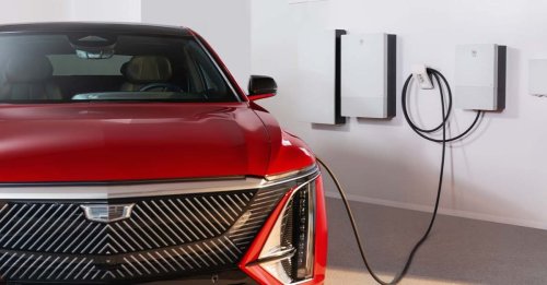 Photo post from Sustainable Newton.