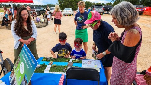Carousel post from Sustainable Newton.