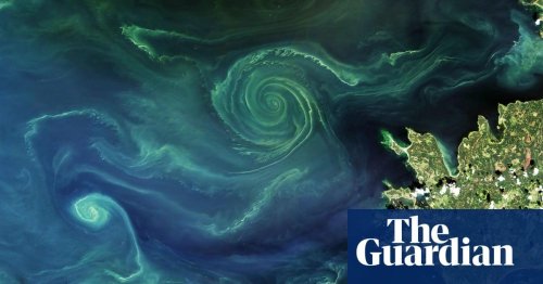 Photo post from Sustainable Newton.