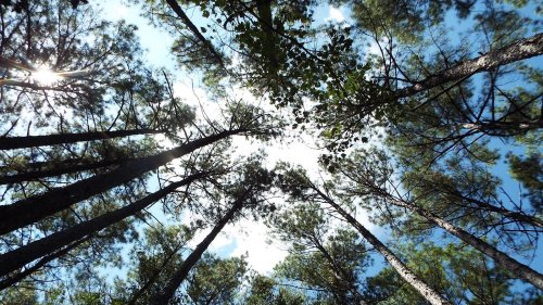 Photo post from Sustainable Newton.