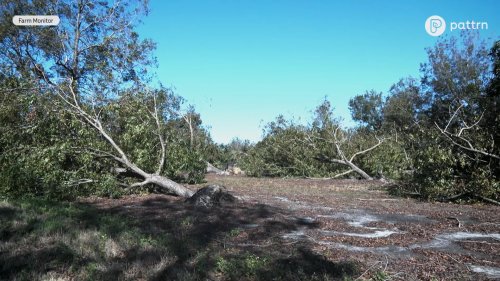 Video post from Sustainable Newton.