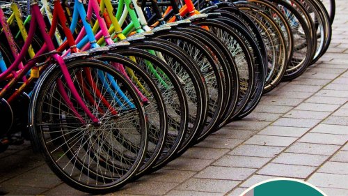 Photo post from Sustainable Newton.