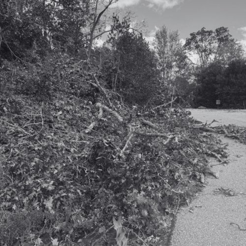 Photo post from Sustainable Newton.