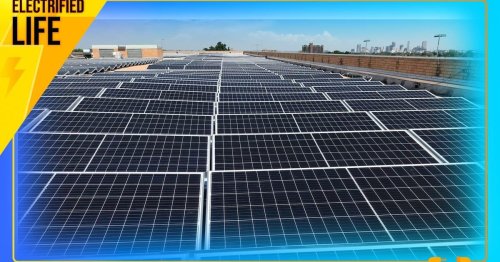 Photo post from Sustainable Newton.