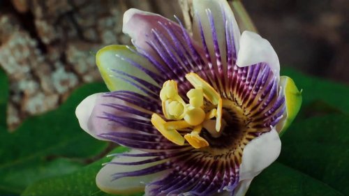 Photo post from Sustainable Newton.