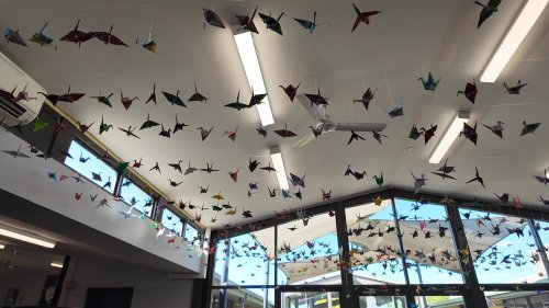 Video post from Mount Carmel Catholic College, Varroville.