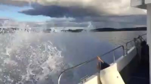 Video post from Techno Dive.