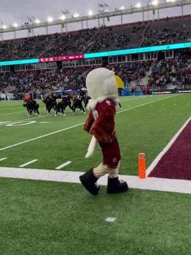 Video post from bostoncollege.