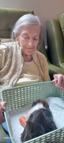 Carousel post from Sherwood Grange Care Home.