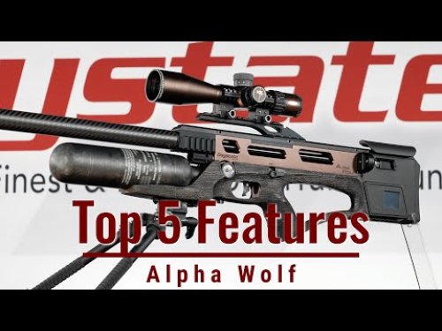 Video post from airgunsofarizona.