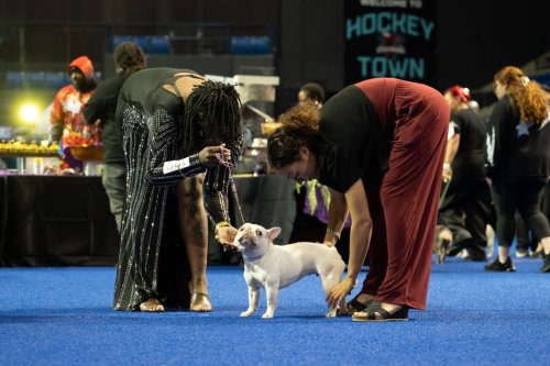 Carousel post from Columbus Civic Center.