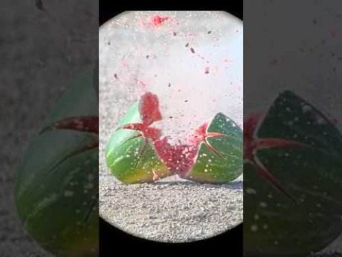 Video post from airgunsofarizona.