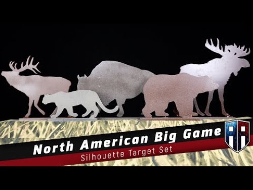 Video post from airgunsofarizona.